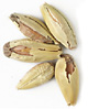VIENNA, MUNICH, & CARAMUNICH MALTS