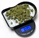 WEIGHMAX POCKET SCALE