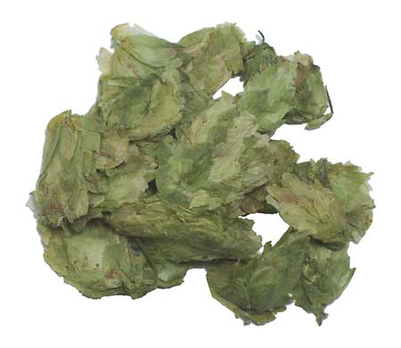 2011 WHOLE CASCADE HOPS 6 OZ