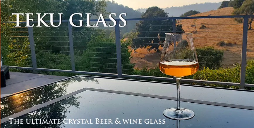 Teku Beer Glass Set