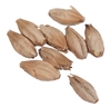 10 Lbs. Weyermann® Eraclea Pilsner Malt