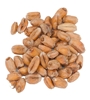 7° L. Weyermann® Dark Wheat Malt