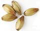Malted Grain & Sugar