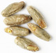 Specialty Malts