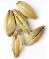 14 L. Crystal Malt
