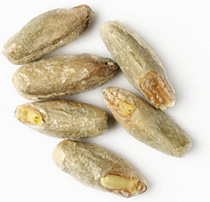 3 L. Rye Malt 