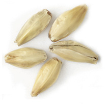 2 L. CaraPils Malt