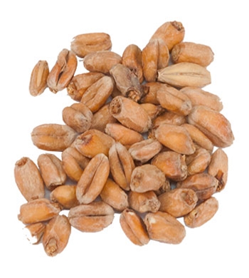 7° L. Weyermann® Dark Wheat Malt