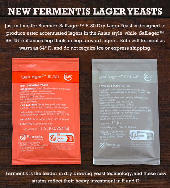 New Fermentis Lager Yeasts